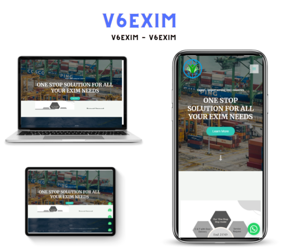 V6Exim Logo