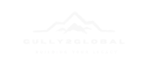 gully2global logo